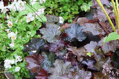 e0123255_056107.jpg