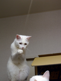 b0058956_0213555.jpg