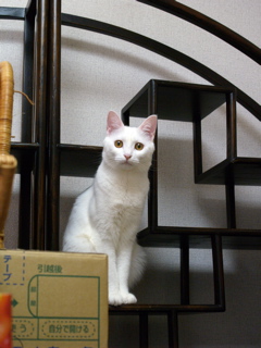 b0058956_021642.jpg