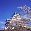 神楽坂日記 王城の護衛者 神楽坂で働いた元社長の言いたい放題 神楽坂日記 王城の護衛者 神楽坂で働いた元社長の言いたい放題
