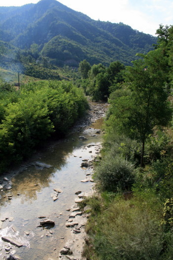 f0077159_19505291.jpg