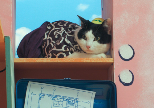 BeeTV☆猫田工務店☆_d0126264_16564248.jpg