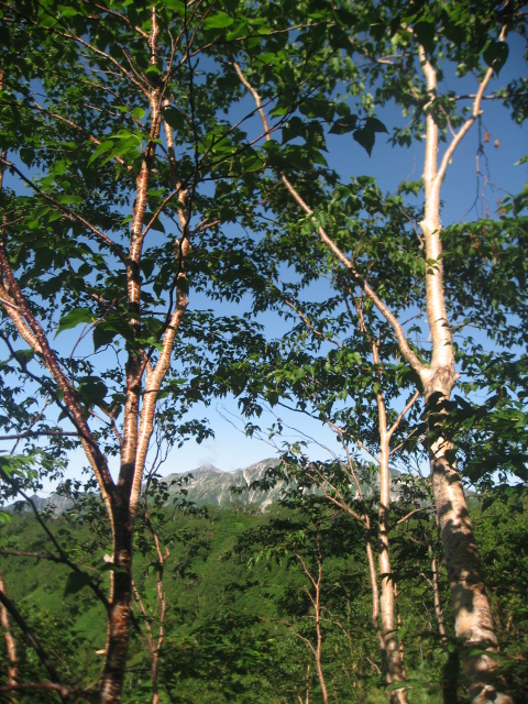 槍ヶ岳登山_f0016066_640393.jpg