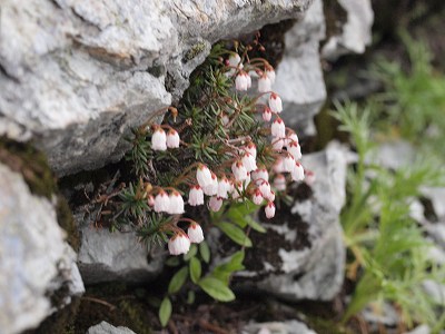 d0025568_11442546.jpg