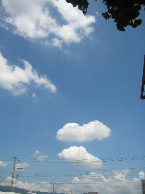 c0192970_828389.jpg