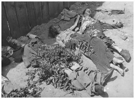 共産主義-イルミナティ・ユダヤ人の窃盗と殺人のための策略 By Henry Makow Ph.D. _c0139575_65241.jpg