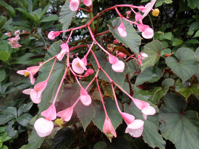 b0157276_19113951.jpg