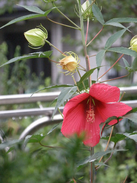 b0157276_1917447.jpg