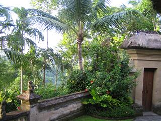 a0065577_16244348.jpg