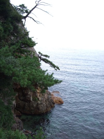 青春１８切符の旅　第ニ弾④（東浜～日本海岸沿い～城崎）_e0138081_854305.jpg