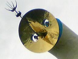 f0016981_395645.jpg