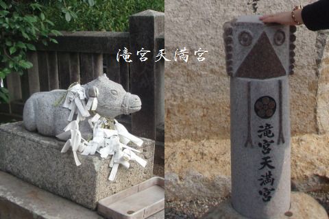 d0098183_13294219.jpg
