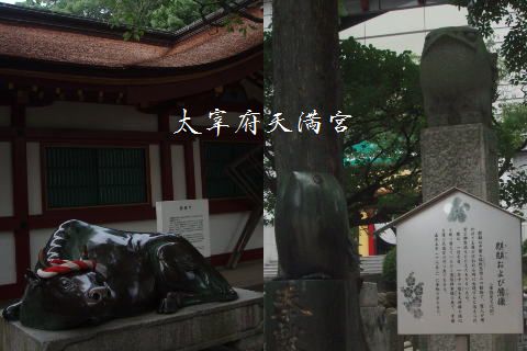 d0098183_13352865.jpg