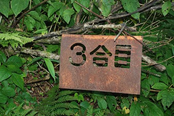 f0126483_21435695.jpg