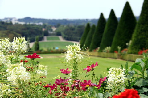 ソー公園が一番♪_c0090198_3472781.jpg