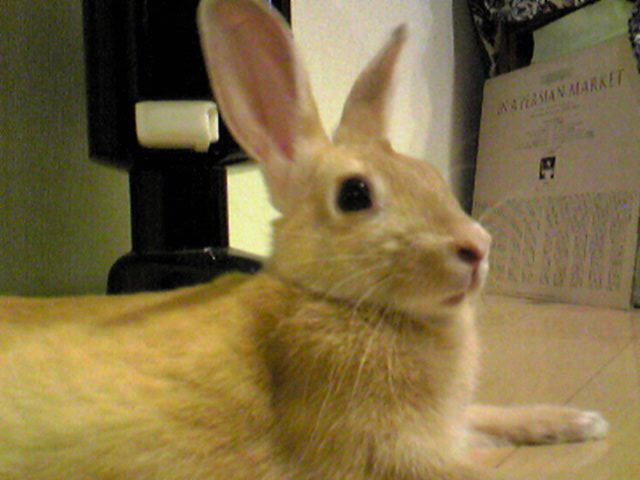 a0073000_14564953.jpg