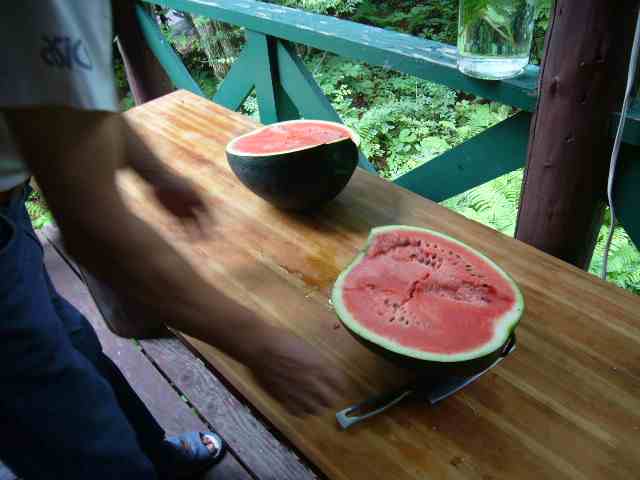 a0116902_0362964.jpg