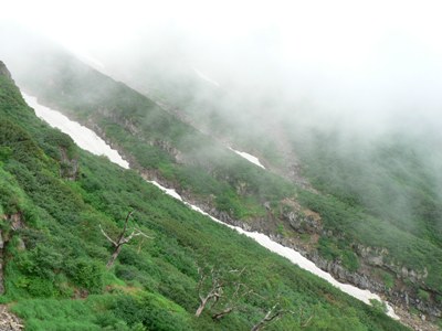e0117203_11241346.jpg