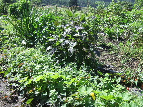 d0024504_1581944.jpg
