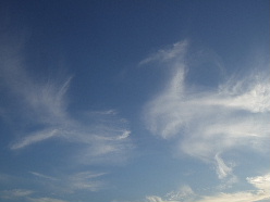 d0024504_1741935.jpg