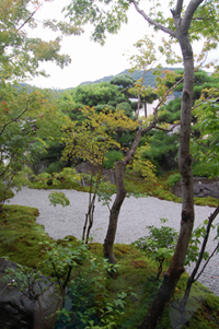 京都嵐山の和スイーツ_a0115906_14214682.jpg