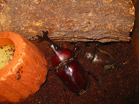 e0012808_002887.jpg
