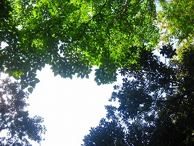 e0012808_06147.jpg