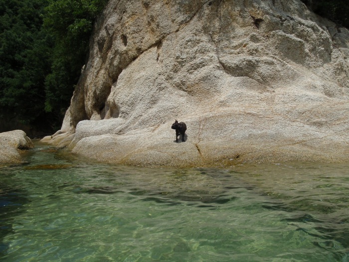 b0143214_0273117.jpg