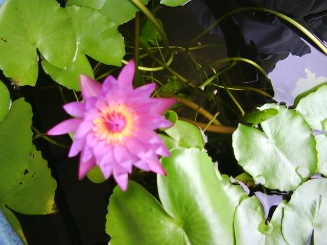 b0175015_20324931.jpg