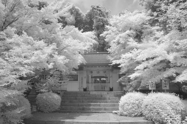 大原野神社_b0181620_1559719.jpg