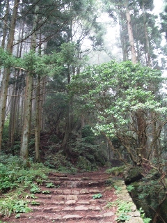a0043326_22401643.jpg