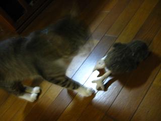 c0177527_21451919.jpg
