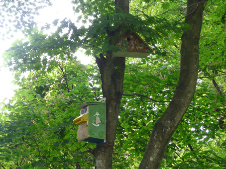 アートフル林間学校2009_e0118827_1641612.jpg