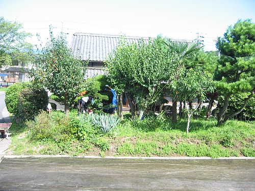 人面天道虫の正体とスバルの放つ高性能自転車XB_f0076731_18584575.jpg