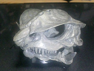 d0009833_23304118.jpg