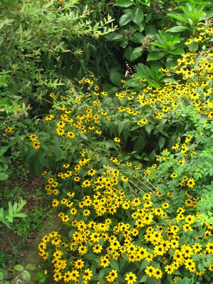 c0109235_1132566.jpg
