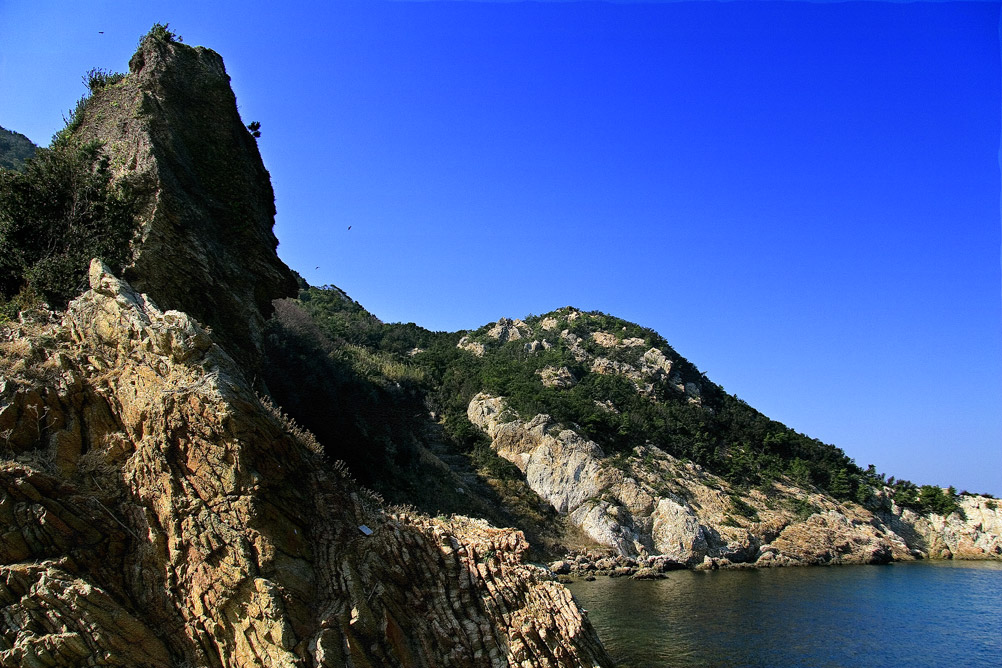 d0136836_8475031.jpg