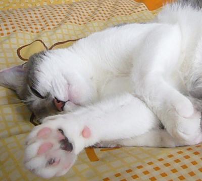 いつのまにか_f0002743_14364075.jpg