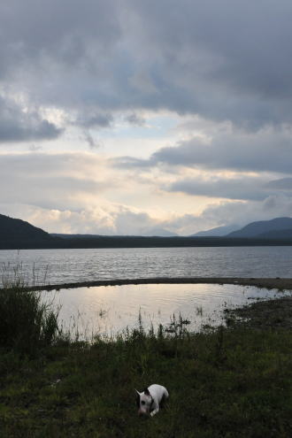 f0094843_1454434.jpg