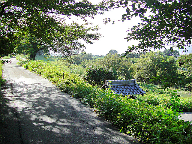 b0088444_21393638.jpg