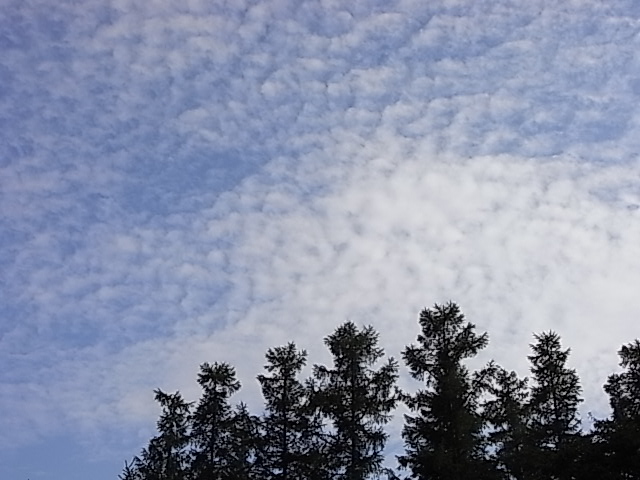 b0145846_0283694.jpg