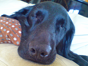 f0095047_22502537.jpg