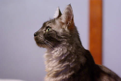 a0067056_094975.jpg