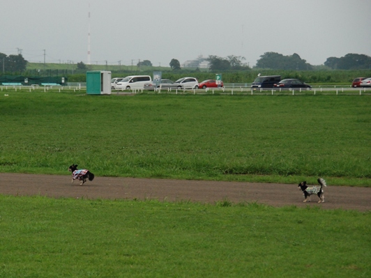 f0065768_025065.jpg