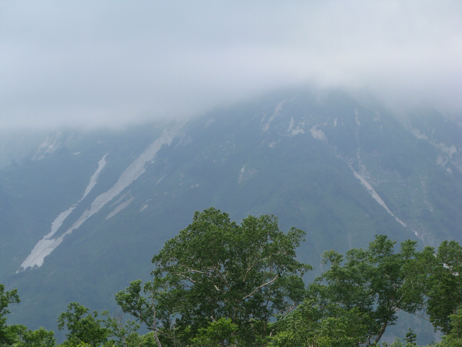 a0114469_2342502.jpg