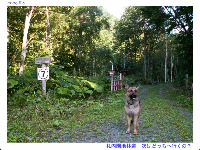 夏だ！ｷｬﾝﾌﾟだ♪　ﾊﾟｰﾄ１_f0067179_20575431.jpg