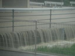 大洪水_f0172281_21591753.jpg