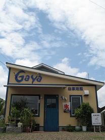 e0130185_1741689.jpg