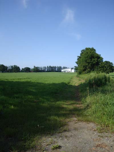 b0142688_9205016.jpg