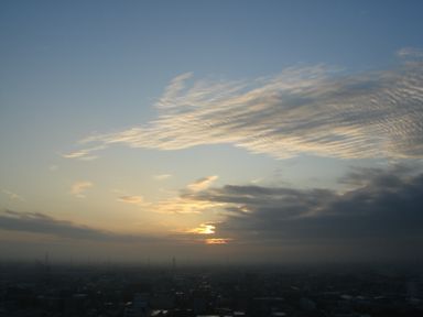 d0125890_145266.jpg